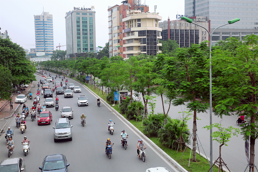 Từ[-]ngày[-]15/1,[-]xâm[-]hại[-]cây[-]xanh[-]có[-]thể[-]bị[-]phạt[-]tới[-]30[-]triệu[-]đồng